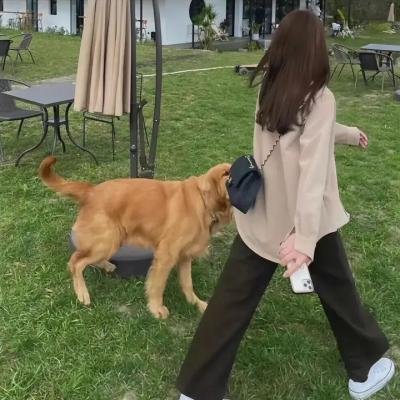 淫兽 被盯上的偶像