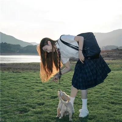 野雁突击队